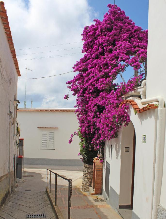 B&B Casa Angelina Анакапри Екстериор снимка